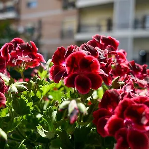 Niku Hotel Tirana